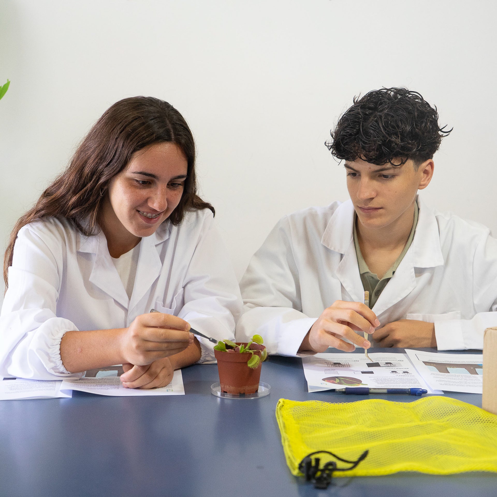 How does the carnivorous plant nourish?