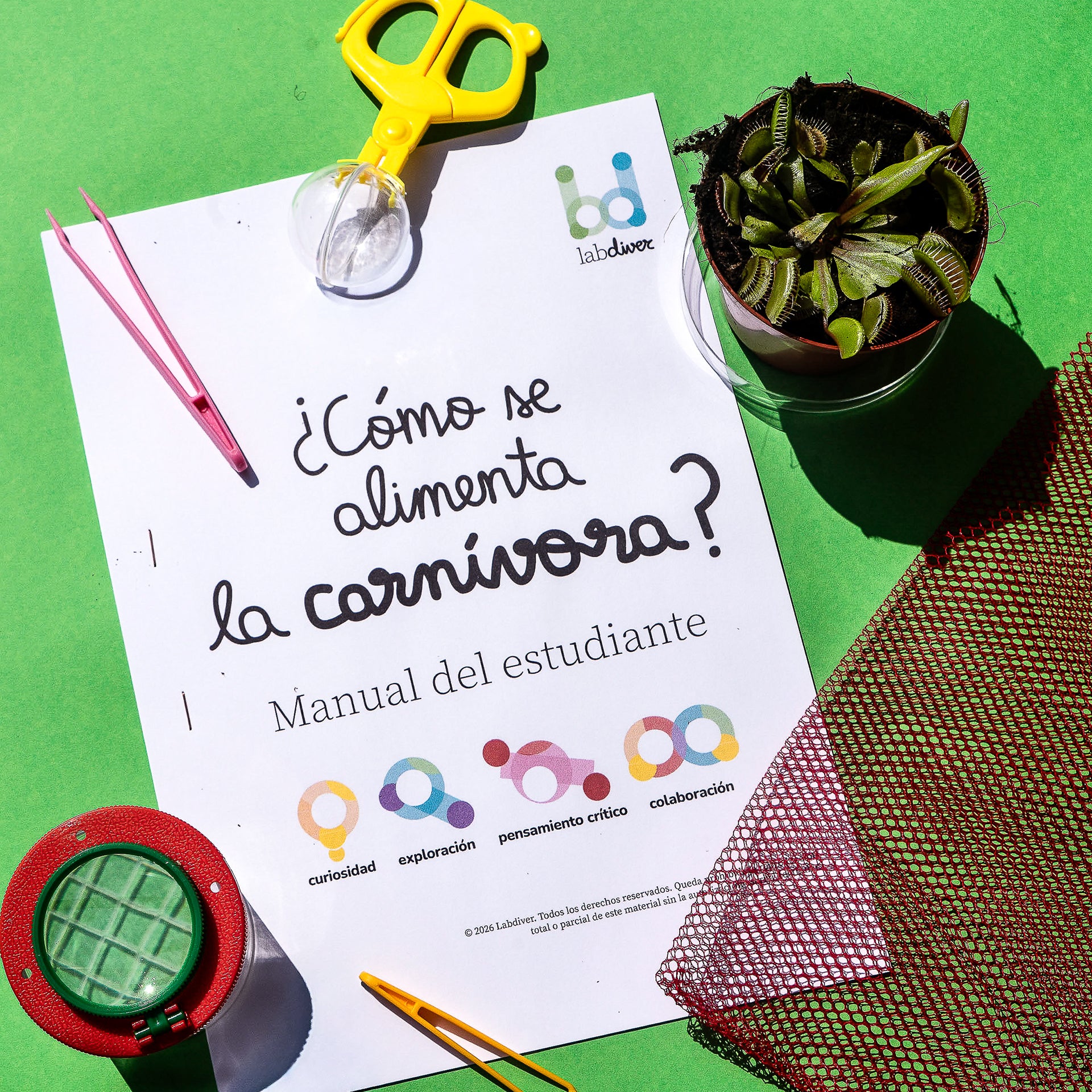 Com s’alimenta la carnívora?